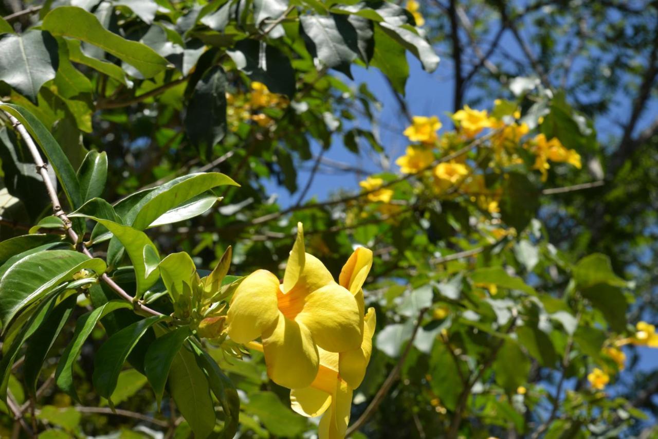 Pousada Sitio Olho D'Agua บอมบินญัส ภายนอก รูปภาพ